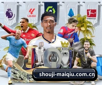 shouji-maiqiu.com.cn APP